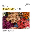 백사장수산물어시장 자연산오대감 | 2026 태안국제원예치유박람회