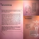 샬트르 성바오로수녀회 역사박물관(휴관) | [천주교 광주대교구] 가톨릭목포성지[2] (舊 목포 천주교 교구청 現 광주대교구 역사박물관/십자가의 길)