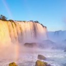 교동국제갈비 이미지