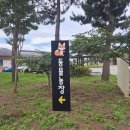 부흥할머니경로식당 | [여행 #25-5] 울진 여행 Day 1. 동심식당/ 등기산 스카이워크/ 성류굴/ 죽변 해안스카이레일/ 울진 대게빵