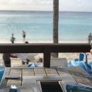 비치조아 이미지