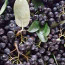 유영철 농장 이미지