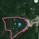 안기천로 이미지