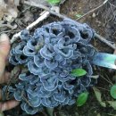 다모아민박 이미지