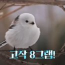 투어로망 이미지