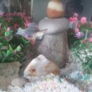 구피 카카오 검색결과