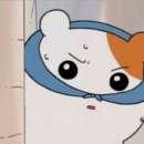 (주)자작나눔