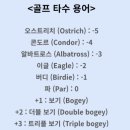 알면 재미있는 골프 용어집 | 골프 타수 용어 총 정리 이글 버디 파 보기 골린이 스코어 세는 방법