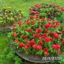 으뜸체육공원 이미지