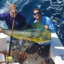 참치랑가재랑 이미지