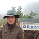 조은농산