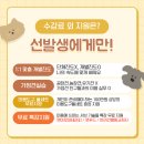 만점애견미용 이미지