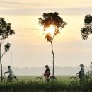 동아시아의 근대화와 번역 문학 이야기 이미지