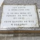 제주 표선 고등어회 포장 맛집 표선수산마트 내돈내산 후기