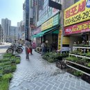 김해농약종묘사 이미지