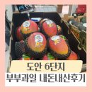 씨유 도안5단지점 | 대전 도안 6단지 맛있는 booboo 과일 가게, 내돈내산 후기