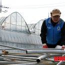 월호농장 이미지