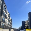 강정동-33 이미지