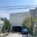 EV9 국내 최초 대형 SUV 전기차 실사 감상하세요!!