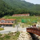 팔공산금화자연휴양림 | 공립 팔공산 금화 자연휴양림 (경상북도)