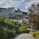 아름동_아름고앞 이미지