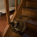 명분민박 이미지