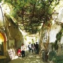 스테디(Steady) 이미지