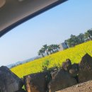 사우스사계 이미지