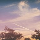 뚝섬한강공원-63 이미지