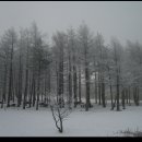 초록세상 이미지