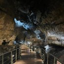 광천 | 국내여행) 아이랑 강원도 평창 광천선굴 후기