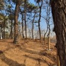 파주시유아숲체험원 이미지