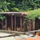 개야농장 이미지