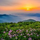 산청 한방약초축제 지리산권여행 산청여행 이미지