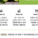 과일장터 이미지