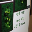 남한강초등학교 병설유치원 이미지