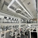 크레이지독스짐 이미지