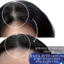 Abeli(아벨리)