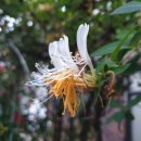 <오거리 사진관> 이미지