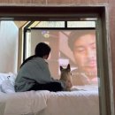 반스힐리조트 이미지