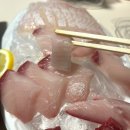 엄청난횟집 | [안산 배달] 엄청난 횟집&amp;물회 대방어+광어 배달 후기