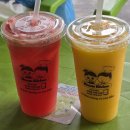 3XL COFFEE(3xl 커피) | 엄마랑 나트랑 🥭 1편