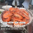 인천 강화군 대하 맛집 이레수산 왕새우 인생맛집 너무 추천하는 대하구이 새우양식