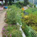 아름드리민박 이미지