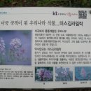 한택로 이미지