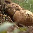 이산프라자2 이미지