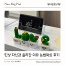 라루나뷰티 | 평택고덕왁싱 루나라 슈가링에서 눈썹왁싱 받고 인상 달라졌어요