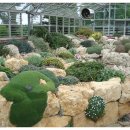 스마일토이 이미지