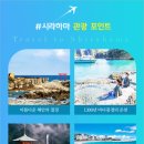신세계항공여행사