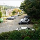 하늘 곤드레 이미지